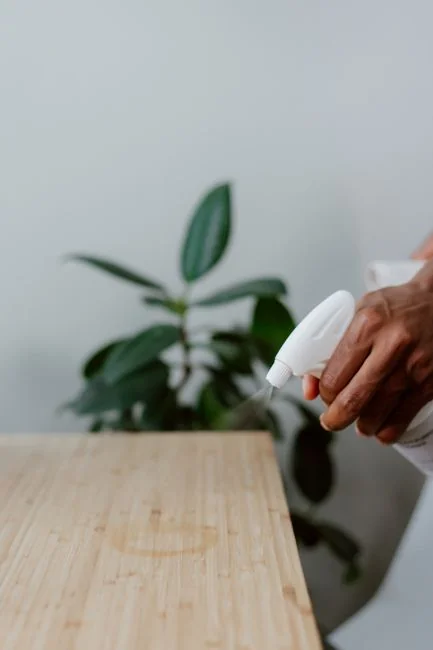 A feather duster in hand cleaning a wooden desk, with plants and office supplies around it.